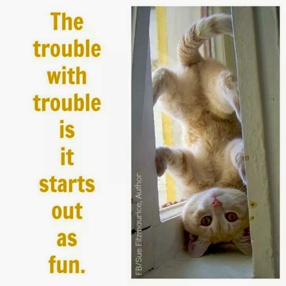 Meet your Posher, Joanie! - Picture 14 of 16